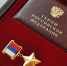 Родителям Героя России в Брянске забыли пересчитать пенсию - БрянскНОВОСТИ.RU