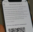 Брянцам предложили продавать алкоголь по QR-кодам - Телеканал Городской