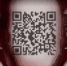 Брянские коммунисты собирают подписи против QR-кодов - Go32.Ru