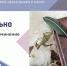 Брянские одиннадцатиклассники напишут 1 декабря итоговое сочинение - Брянская Учительская газета