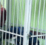 В Брянске полицейский с подельниками вымогал деньги у наркоманов - БрянскToday.Ru