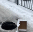В Брянске девушка «ликвидировала» опасность на Туристе - БрянскToday.Ru