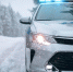 На брянской трассе поймали пьяного водителя Renault - Телеканал Городской