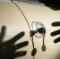 Брянская полиция поймала 24-летнего автомошенника и 18-летнего угонщика - Газета Брянские новости