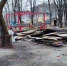 В брянском парке «Юность» демонтировали аттракционы - Телеканал Городской