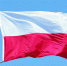 Поляки перевозбудились - Vbryanske.Com