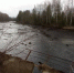 В Брянском районе из-за прорыва плотины погибло лесное озеро - Телеканал Городской