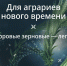 МИРАВИС® Нео ― фунгицид для аграриев нового времени. Здоровые зерновые — легко! - Газета Брянские новости