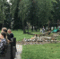 В Брянске Майский парк начали очищать от рухнувших деревьев - Газета Брянские новости
