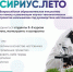 Программа «Сириус.Лето: начни свой проект» предлагает студентам стать наставниками в третий раз - БГТУ