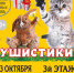 Брянцы могут получить 2 пригласительных билета на Зооярмарку «Пушистики» - ИА Наш Брянск.ru