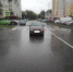 В Брянске водитель заболтался по телефону и сбил на переходе женщину - Телеканал Городской