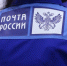Пенсия с доставкой на дом - ЛДПР