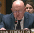 Василий Небензя рассказал о планируемой атаке России боевыми комарами США - Газета Брянские новости