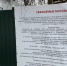 Брянским чиновникам показали достойный пример работы с населением при вырубке деревьев - Газета Брянские новости