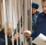 Брянские следователи возбудили дело о мошенничестве на 31 млн рублей - Go32.Ru
