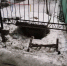 В Брянске провал-«долгожитель» на переулке Пилотов справил полугодовой юбилей - Телеканал Городской
