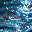 21 ёлочных базар открылся в Брянске - Go32.Ru