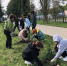 Акция "Сад памяти" в Севском лесничестве - Управление лесами