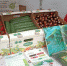Выставка овощной продукции ООО «ТК Журиничи» на Дне Брянского поля - Газета Деснянская правда