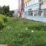 В Брянске начали штрафовать предпринимателей, перед точками которых в траве и кустах можно спрятать слона - БрянскНОВОСТИ.RU