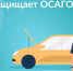 Госавтоинспекция Брянской области напоминает о необходимости оформлять полис ОСАГО на транспортные средства - ГИБДД