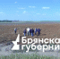 Представители власти и депутаты проверили, как проходит уборка картофеля на полях Брянской области    - Газета Деснянская правда