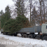 В Брянск доставили главную городскую елку - Сетевое издание Новости Брянска