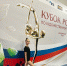 Жуковская гимнастка представила Брянщину на Кубке России - Брянский рабочий