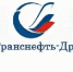 АО «Транснефть - Дружба» выполнило замену участка перехода нефтепродуктопровода через реку в Брянской области - Брянский рабочий