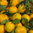 10 mandarin - ГТРК