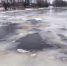 Вода отступила в Новозыбковском районе - БрянскНОВОСТИ.RU