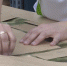 На брянской швейной фабрике стали шить форму для участников СВО - ИА Наш Брянск.ru