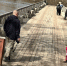 В городе Сельцо из-за половодья закрыли мост через реку Десну - БрянскToday.Ru