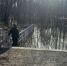 Бежицкий пляж в Брянске полностью ушел под воду - Сетевое издание Новости Брянска