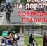 В Брянске полицейские проведут профилактическое мероприятие «ВЕЛО-СИМ». - УМВД по Брянску 