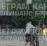 В Брянске жестоко избили парня в костюме леопарда - Сетевое издание Новости Брянска