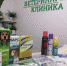 В Брянской ветеринарной клинике рассказали, как защитить питомца от дирофиляриоза - Сетевое издание Новости Брянска