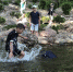 В Брянске дети облюбовали лягушатник для водных процедур - Газета Брянские новости