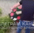 В Путевке 17-летний брянец надругался над могилой - БрянскToday.Ru