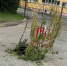 В Брянске заметили опасную ловушку возле детсада «Гвоздичка» - БрянскToday.Ru