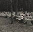 Опубликован снимок брянского пионерлагеря «Гута-Муравинка» 1961 года - Газета Брянские новости