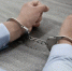 Серию краж раскрыли полицейские в Брянске - Go32.Ru