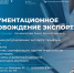 Брянских бизнесменов приглашают на бесплатный семинар «Документационное сопровождение экспорта» - Центр оказания услуг Мой Бизнес