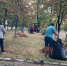 Общегородской субботник прошёл в Брянске - Go32.Ru