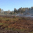 В Погарском районе 26 сентября 30 человек потушили торфяной пожар - Газета Брянские новости