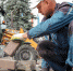 Черновик - Bryansk.News