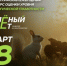 Брянцев приглашают принять участие в экологическом тестировании «Зелёный Зачёт» - Брянская Учительская газета