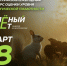 Брянцев приглашают принять участие в экологическом тестировании «Зелёный Зачёт» - Газета Деснянская правда