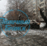 Дерево рухнуло на автомобиль в Фокинском районе Брянска - БрянскToday.Ru